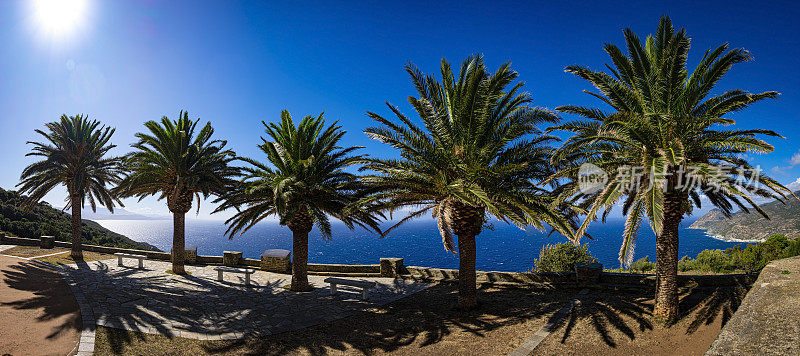 一排棕榈树与地中海的美妙景色，在卡纳里山村，Cap Corse，科西嘉，法国的主广场